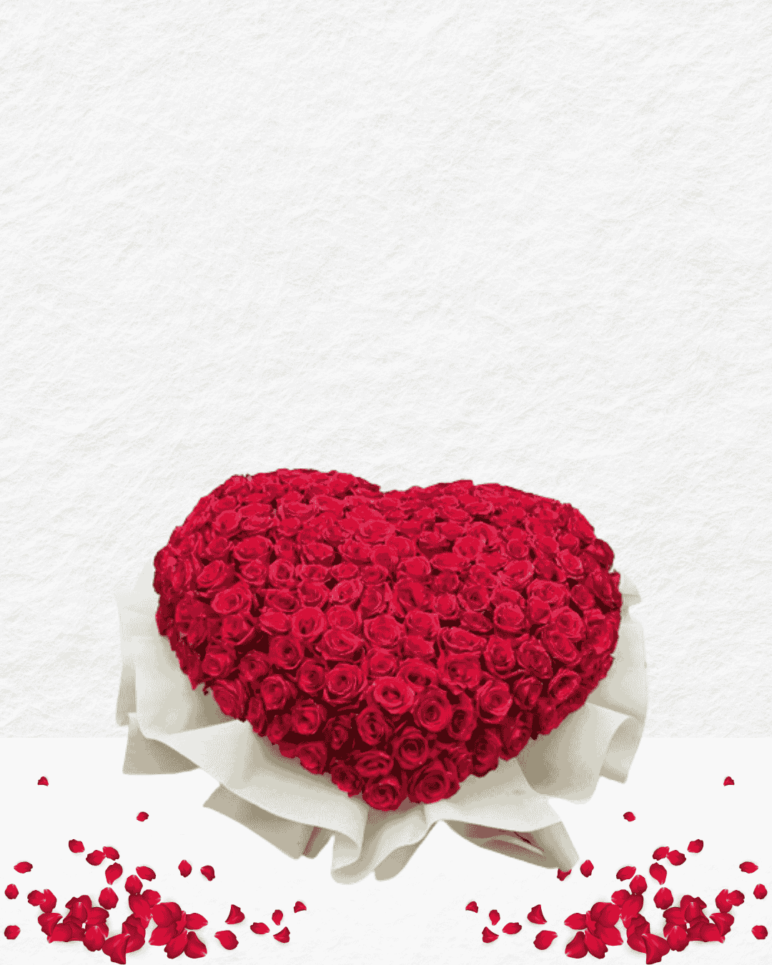 Heart-shaped arrangement of red roses on a white background with scattered rose petals.
