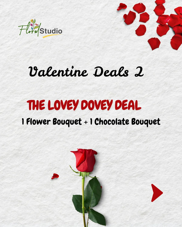 Advertisement for Valentine Deals 2 featuring a red rose and text on a light gray background.